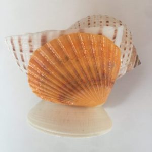 Posted on 1Feb2022 rm15.00