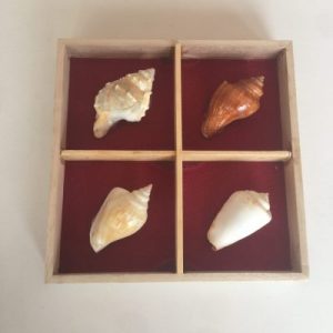 Posted on 20Mar2021 rm25.00