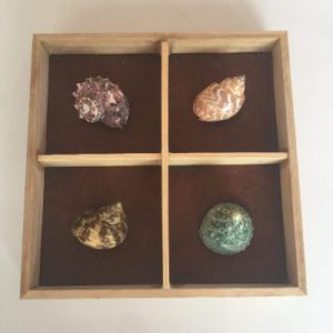 Posted on 22Mar2021 rm25.00