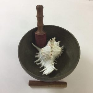 Seashells Display Stand