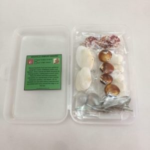 Posted 24Nov2020 SP rm25.00