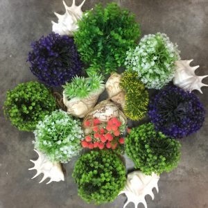 Seashells Airplant/Flowers