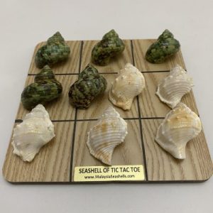 Posted 24Feb2021 rm50.00