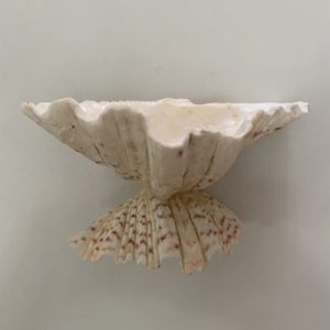 Posted on 12July2021 rm80.00