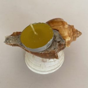 Posted on 2Feb2022 Rm20.00