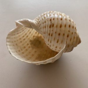 Posted on 1 Feb2022 Rm20.00