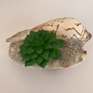 Posted on 23August2021 for rm15.00