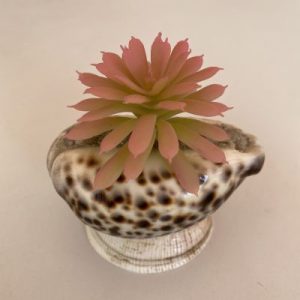 Posted 23August2021 for rm12.00