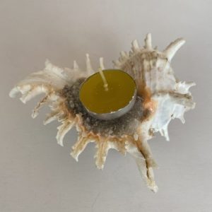 Posted on 1Feb2022 rm50.00