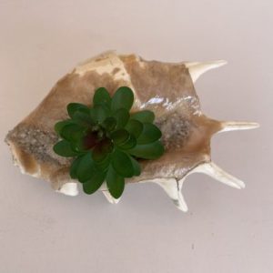 Poster 23August2021 for rm15.00