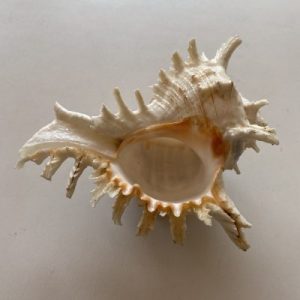 Posted on 1 Feb2022 Rm40.00