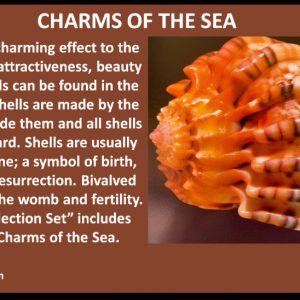 Charms Of The Sea