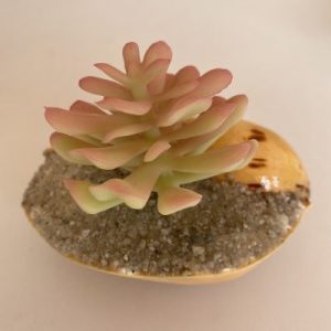 Posted on 23August2021 for rm15.00