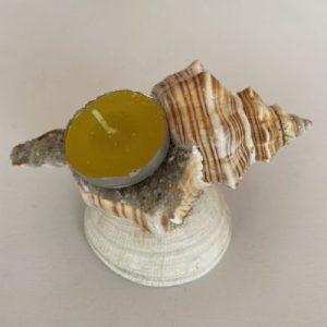 Posted on 2Feb2022 Rm40.00