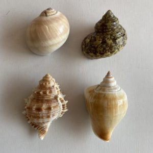 Posted 14Aug2021 for rm12.00