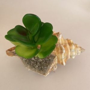 Posted on 23August2021 for rm20.00