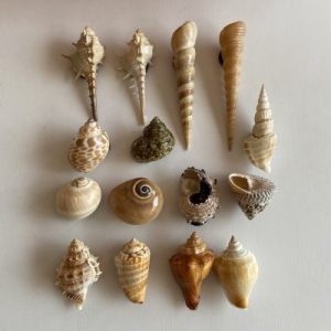 Posted 14Aug2021 for rm38.00