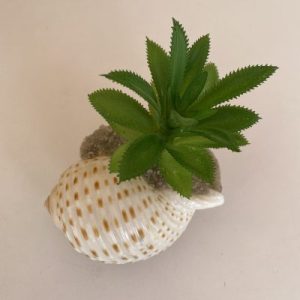 Posted on 23August2021 for rm15.00