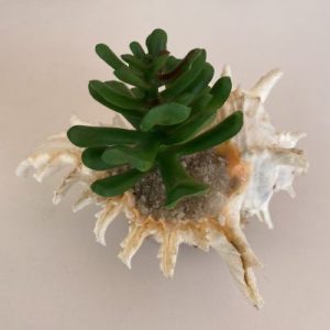 Posted on 23August2021 for rm20.00