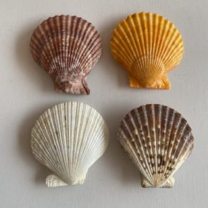 Posted 14Aug2021 for rm20.00