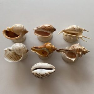 Seashells Trinkets Dish