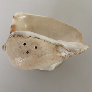 Posted on 16 Sept2021 for rm30.00