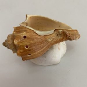 Posted on 9 Sept2021 for rm20.00