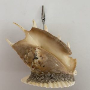 Posted on 12Sept2021 for rm35.00