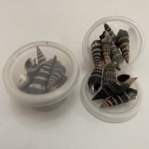 Posted on 1 Sept2021 for rm10.00