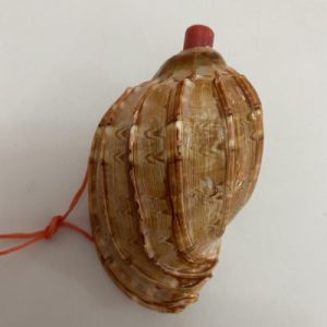 Posted on 1Sept2021 for rm20.00