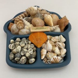 Posted 1 Sept2021 for rm22.00