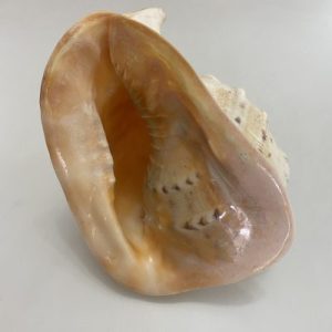 Posted on 6 Nov2021 for rm1000