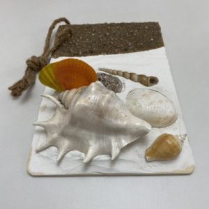 Posted on 9Feb2022 rm80.00