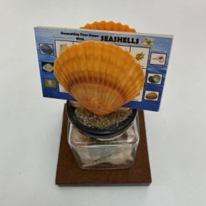 Posted on 15Mar2022 rm50.00