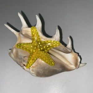 Posted on 20June2022 for rm25.00