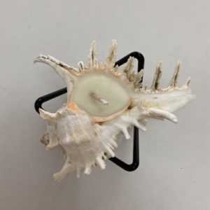 Posted on 26Mar2023 rm30.00