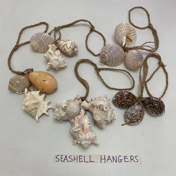 Seashells Hanger(Collections)