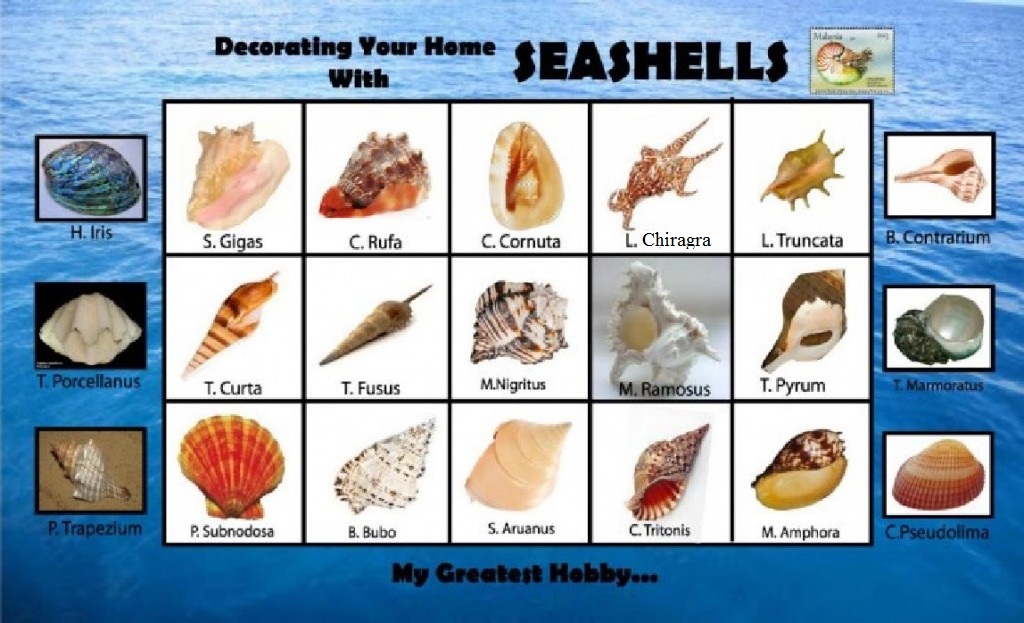 divi-cart-pro-beauty-about-2