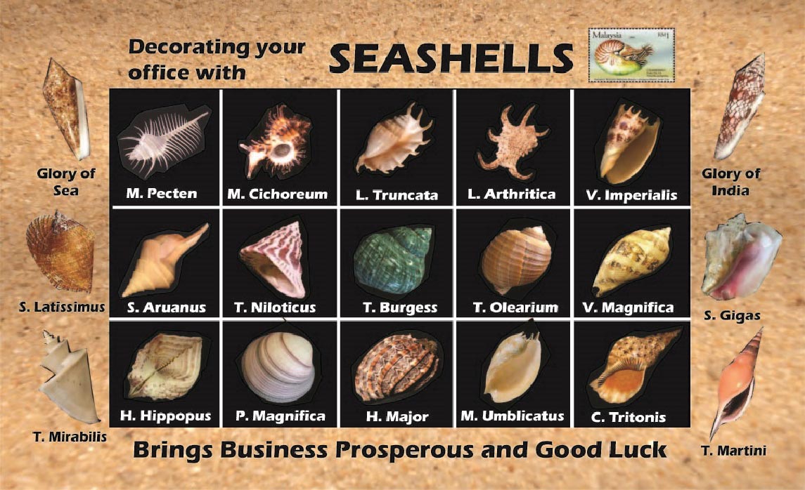 divi-cart-pro-beauty-about-1