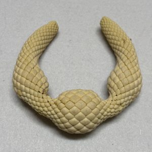 Fish-Pangolin Teeth